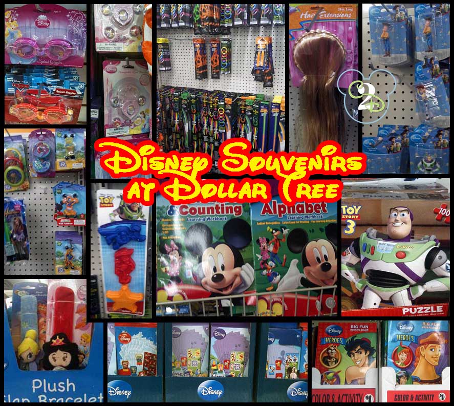 Disney World Souvenirs to Buy Before You Go Story - Thrifty Jinxy