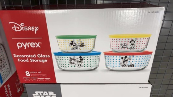 Pyrex Disney’s Mickey & Friends 10 Piece Glass Food Storage Container Set  NEW